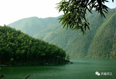 小楠竹撐起大產(chǎn)業(yè),洪江區(qū)千余名貧困群眾脫貧奔富路